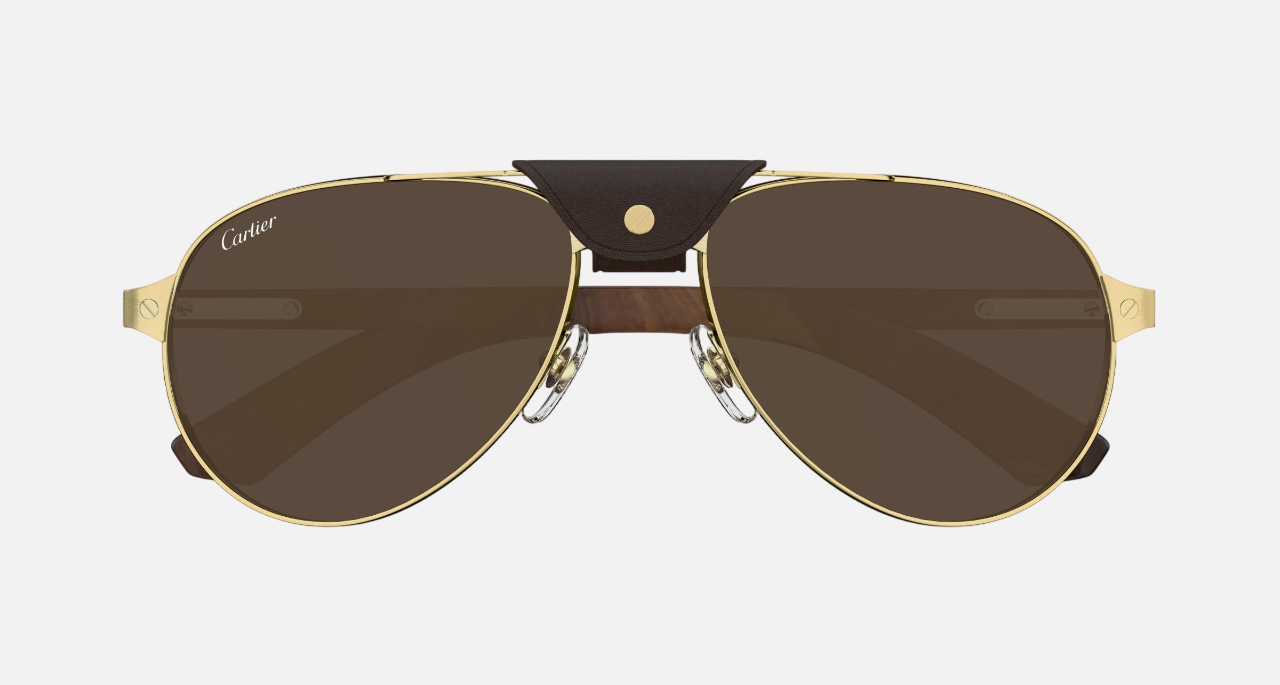 Cartier CT0495S