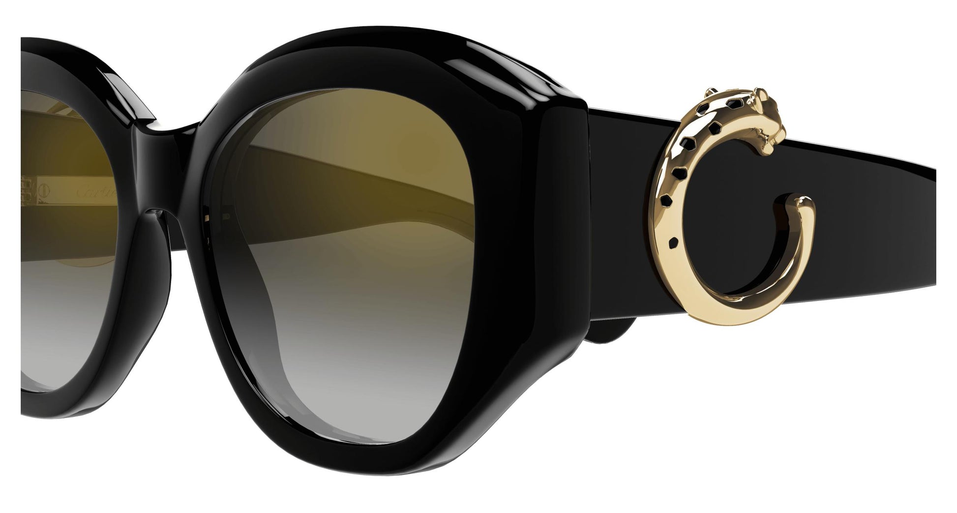 Cartier CT0502S