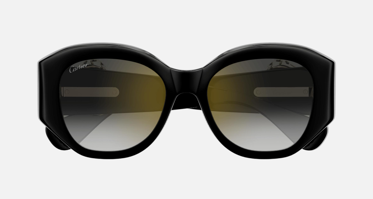 Cartier CT0502S