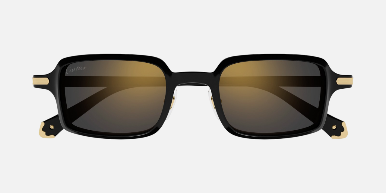 Cartier CT0539S