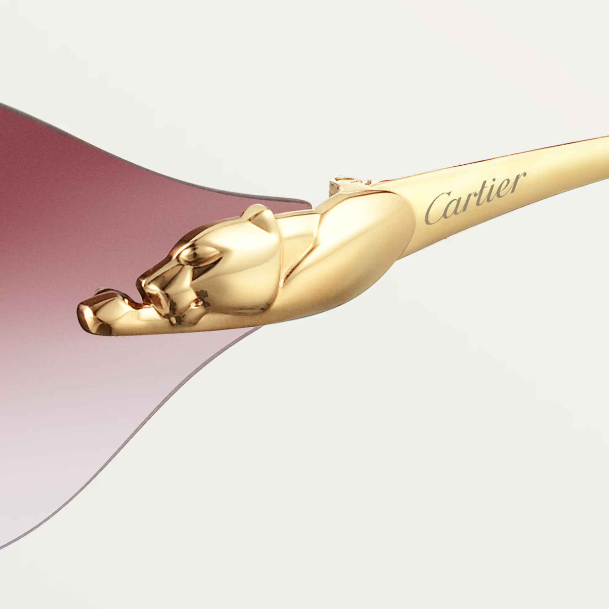 Cartier CT0068S