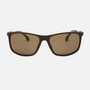 Despada DS 2325 C4 men's full rim rectangle sunglasses in a dark brown plastic frame with brown lenses. Features a 62 mm lens size, 18 mm bridge size, and 145 mm temple length. Available in Dubai, UAE.