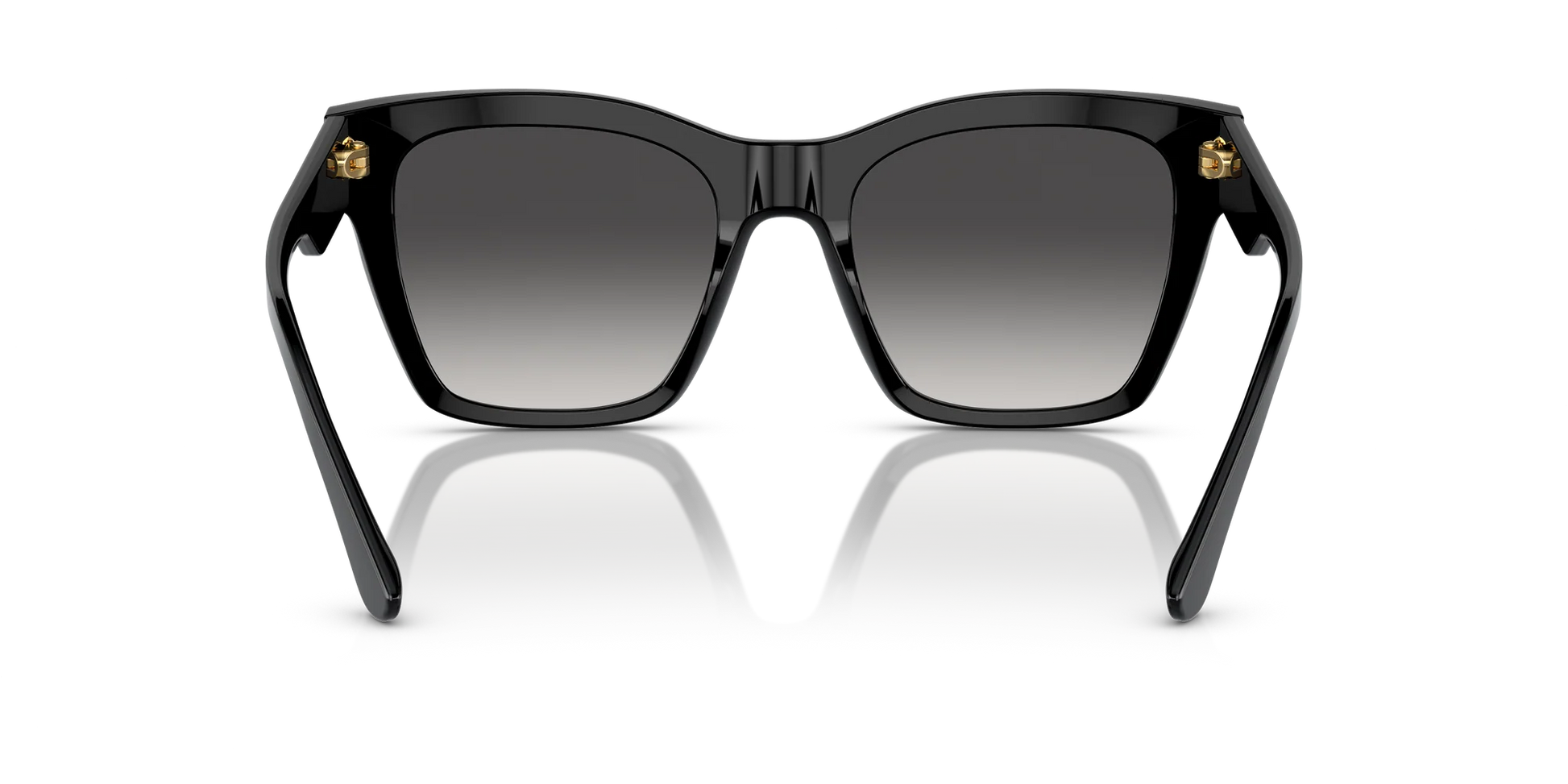 Dolce & Gabbana DG 4384