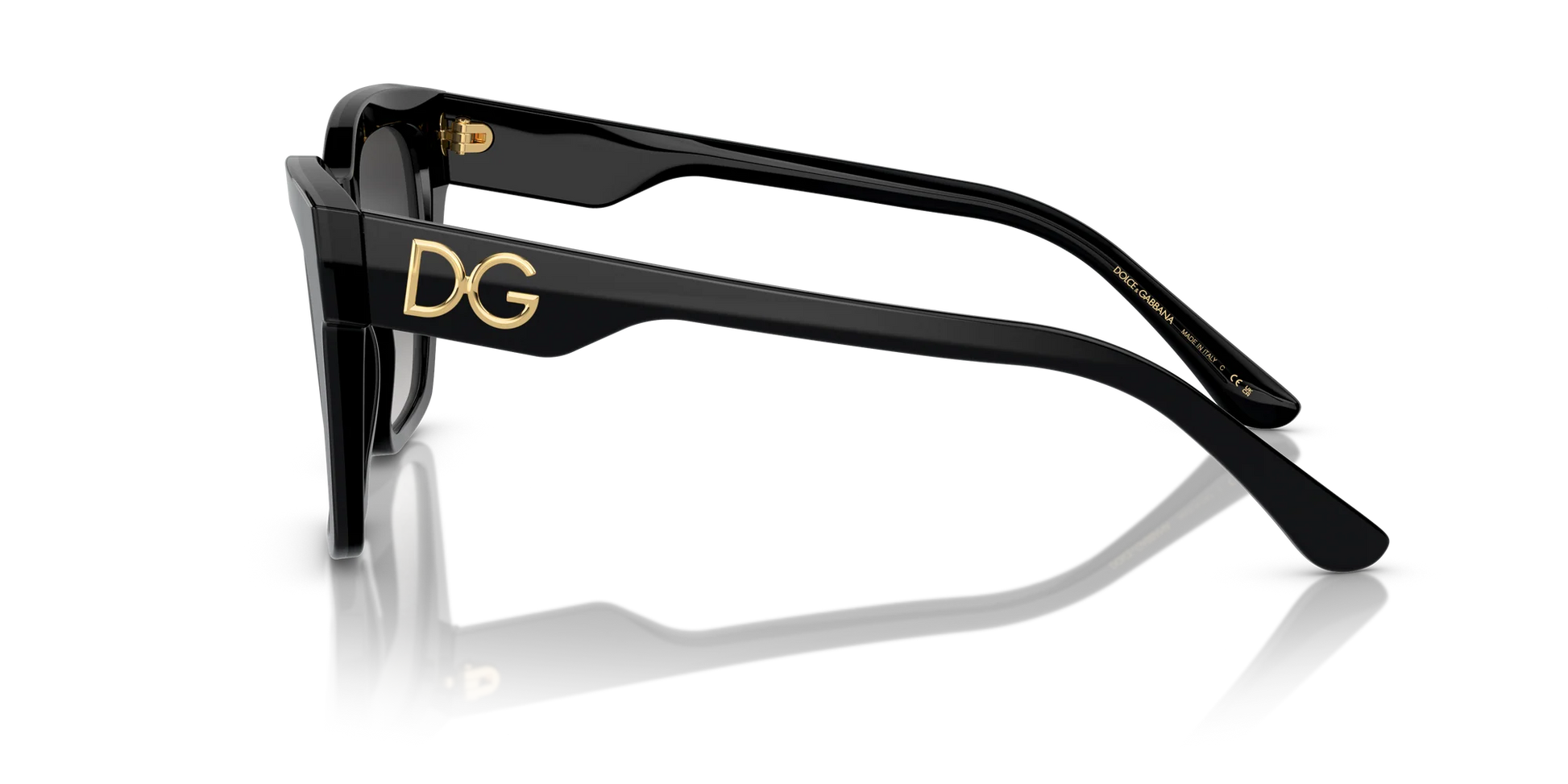 Dolce & Gabbana DG 4384