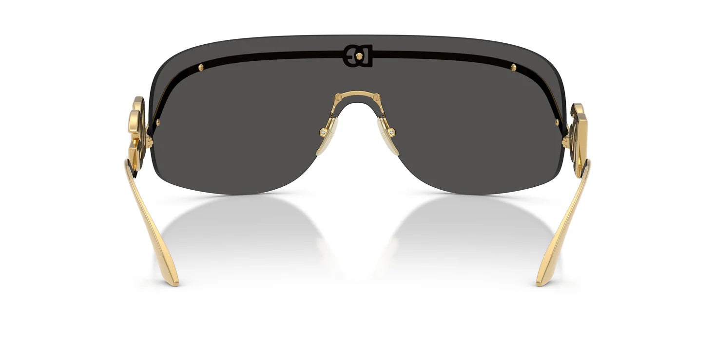 Dolce & Gabbana DG 2320