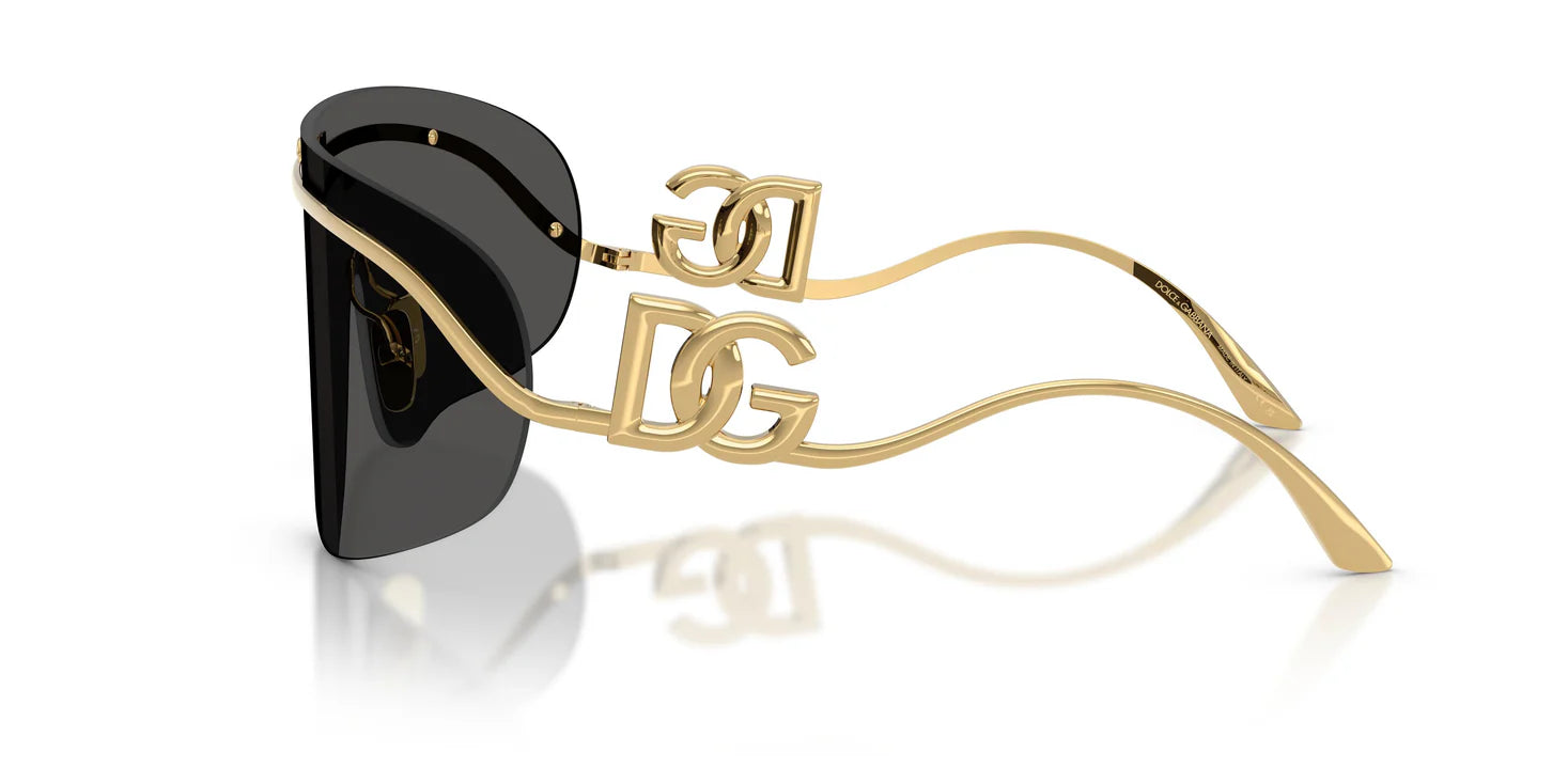 Dolce & Gabbana DG 2320