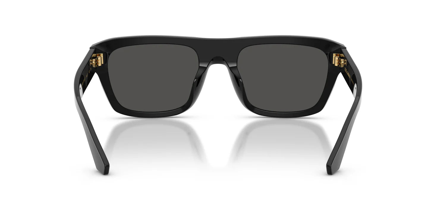 Dolce & Gabbana DG 4496
