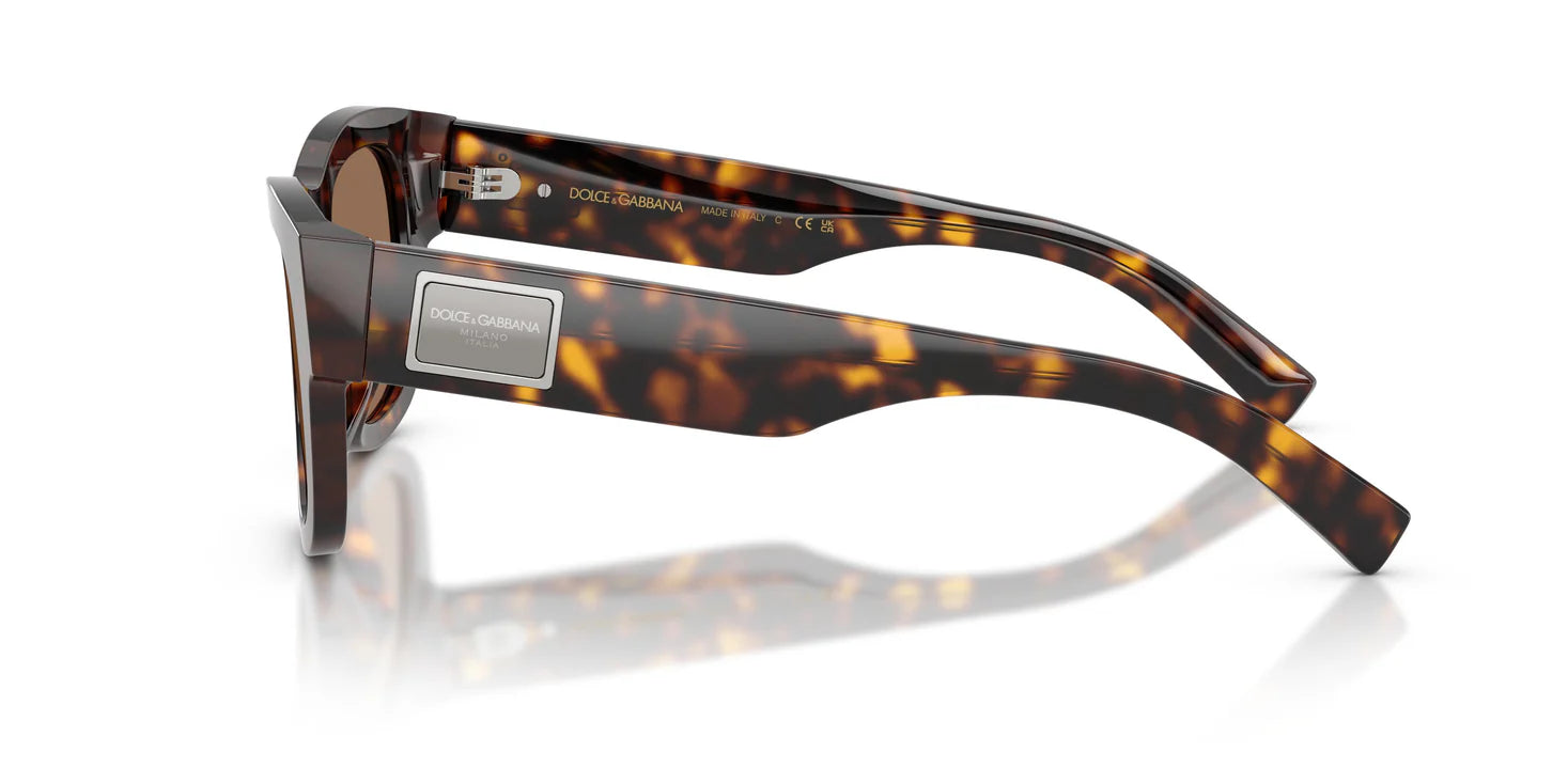 Dolce & Gabbana DG 4509