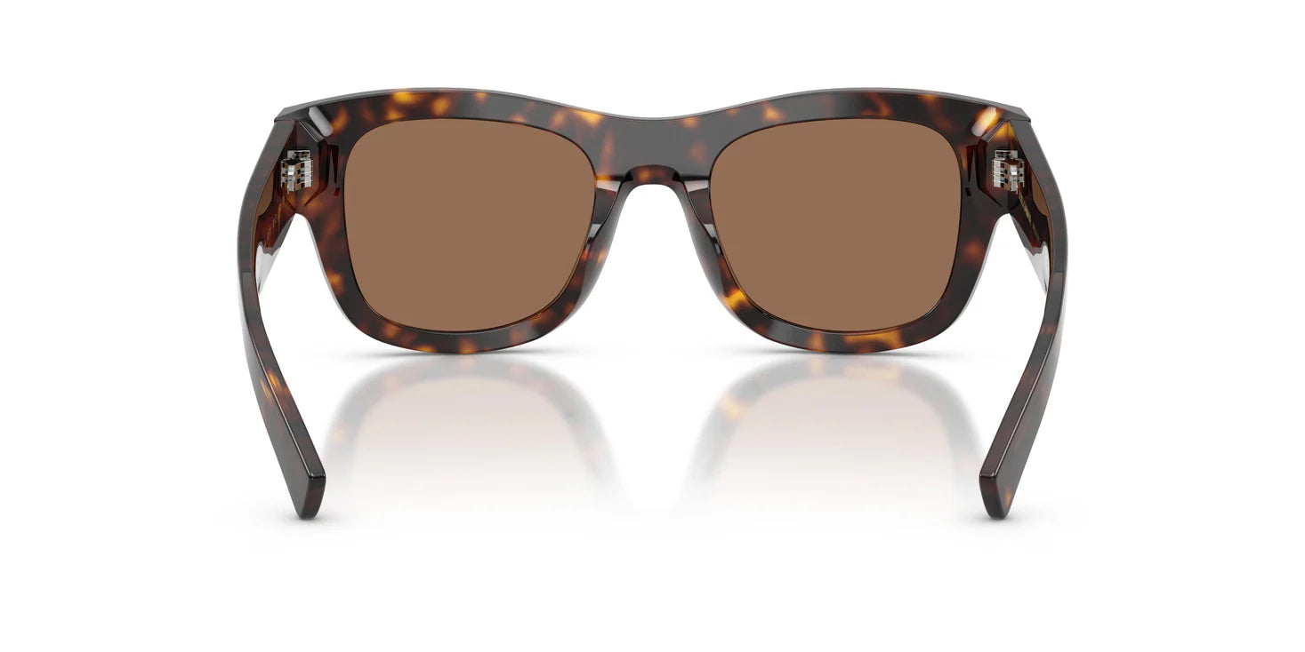 Dolce & Gabbana DG 4509