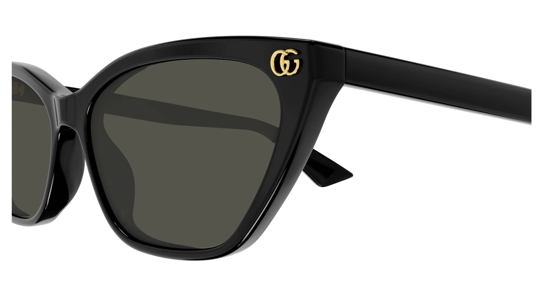 Gucci GG1815S