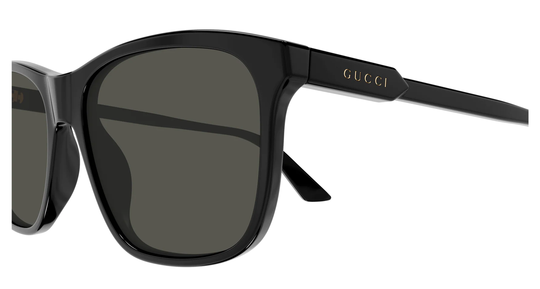 Gucci GG1819S