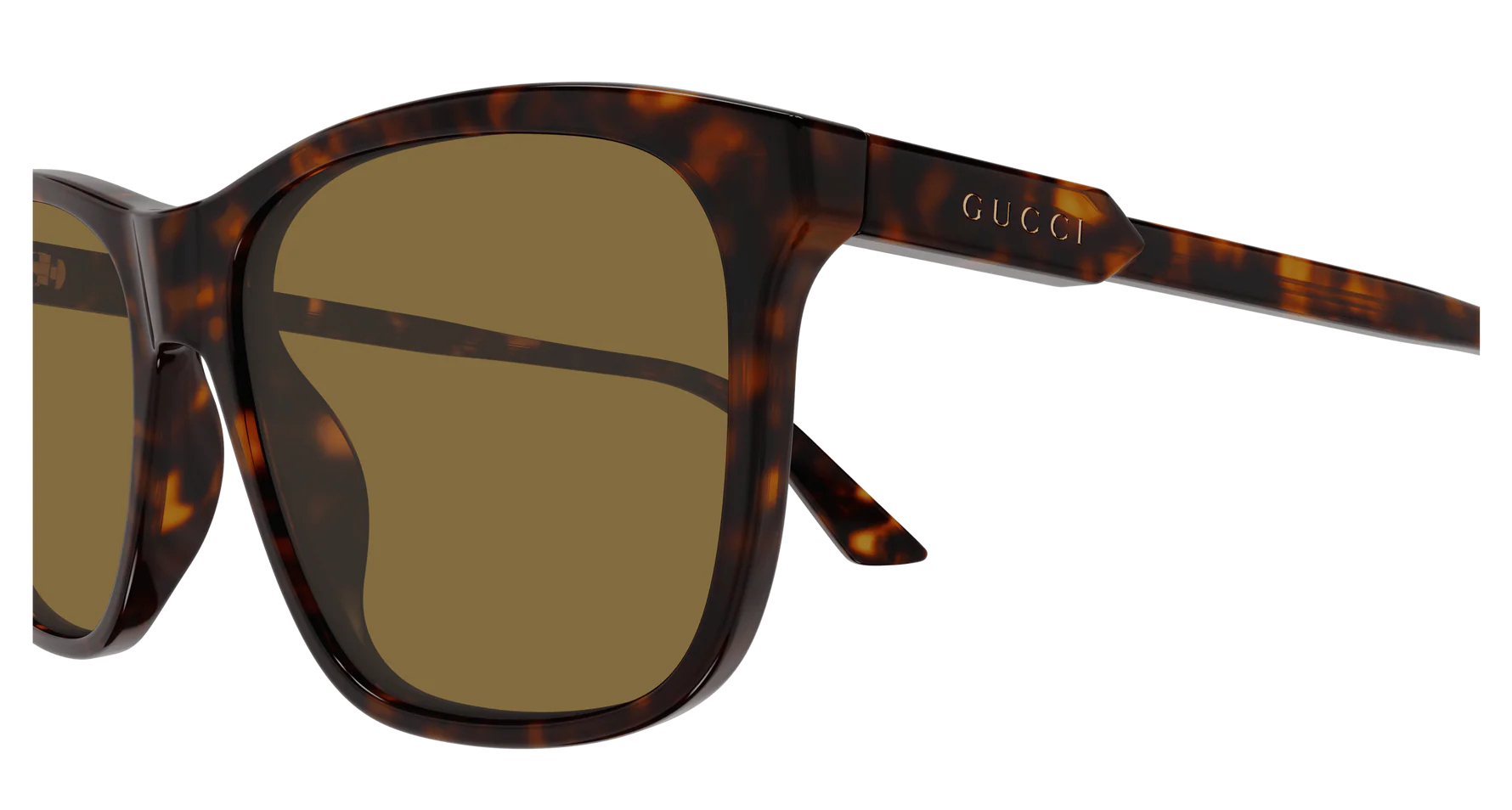 Gucci GG1819S