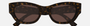 Gucci GG1954SA 002 - Havana/Brown Cat Eye, Women's Sunglasses