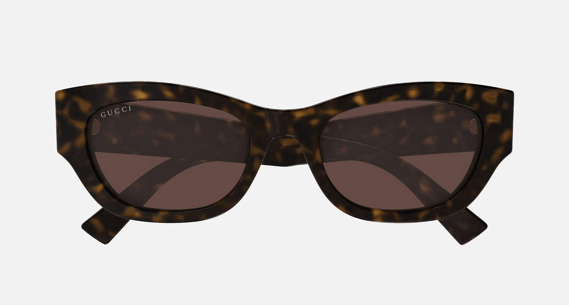 Gucci GG1954SA 002 - Havana/Brown Cat Eye, Women's Sunglasses