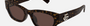 Gucci GG1954SA 002 - Havana/Brown Cat Eye, Women's Sunglasses