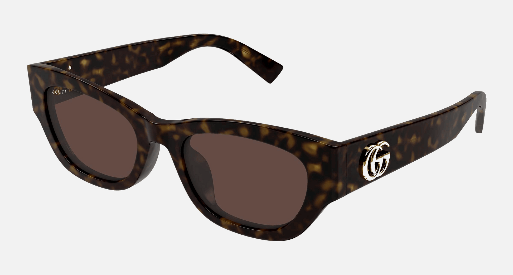 Gucci GG1954SA 002 - Havana/Brown Cat Eye, Women's Sunglasses