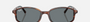 Ray-Ban Sam RB2232 954/62  unisex's full rim irregular sunglasses in polished striped havana frame and blue lenses, with 54mm lens size, 19mm bridge size, and 145mm temple size. Available in Dubai, UAE.