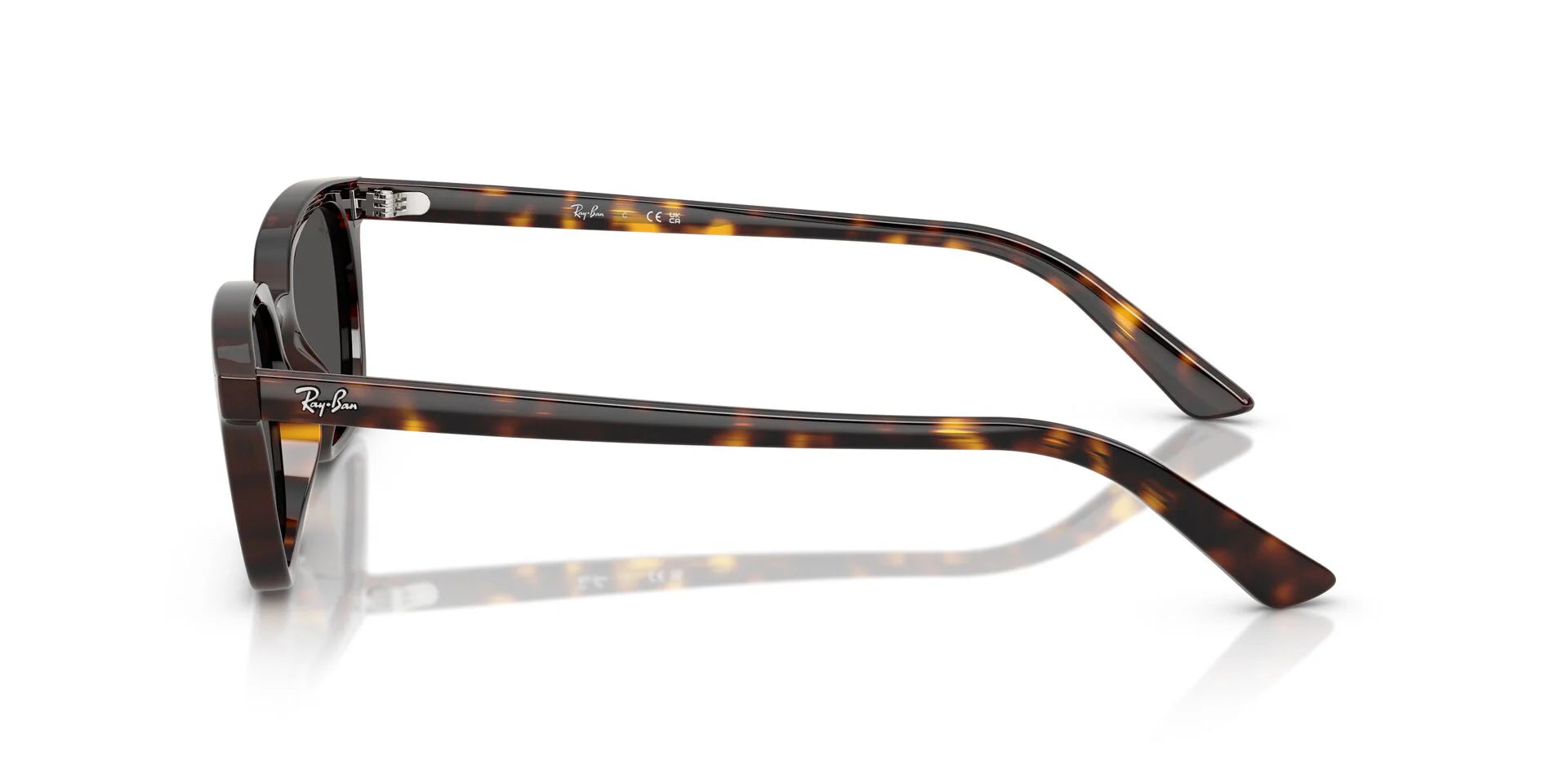 Ray-Ban Zaya Bio-Based RB4456