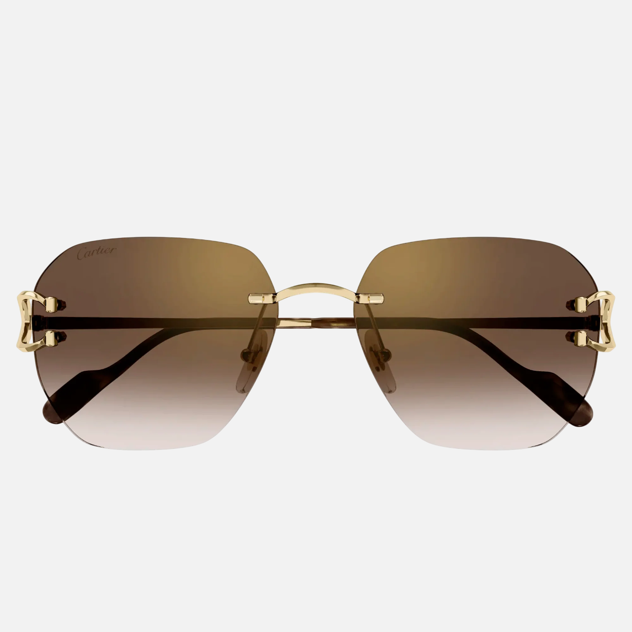 Cartier CT0394S