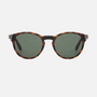 Despada DS 2383 C4  men's full rim round sunglasses in havana frame and green lenses, with 50mm lens size, 22mm bridge size, and 140mm temple size. Available in Dubai, UAE.