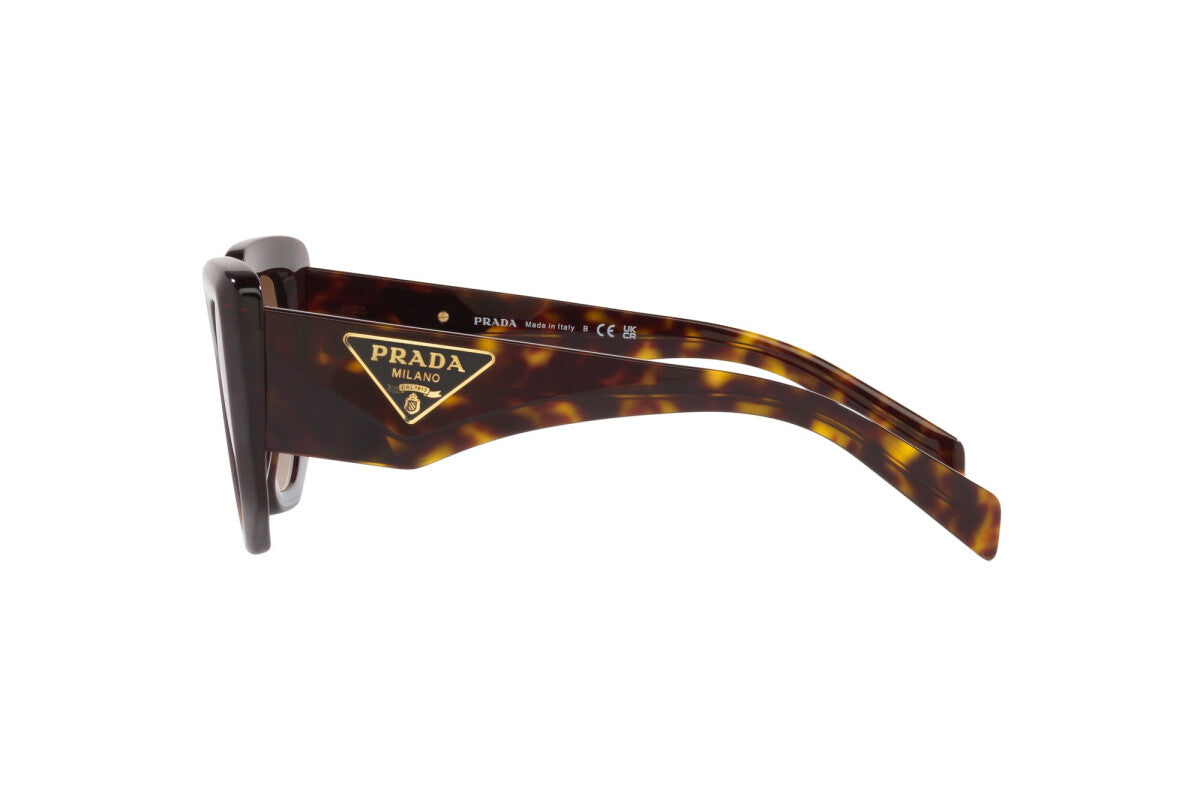Prada PR 14ZS 2AU6S1 irregular sunglasses for women in full rim acetate, with havana frame, and brown gradient lenses. 50mm in lens size, 18mm in bridge size, and 140mm in temple length.