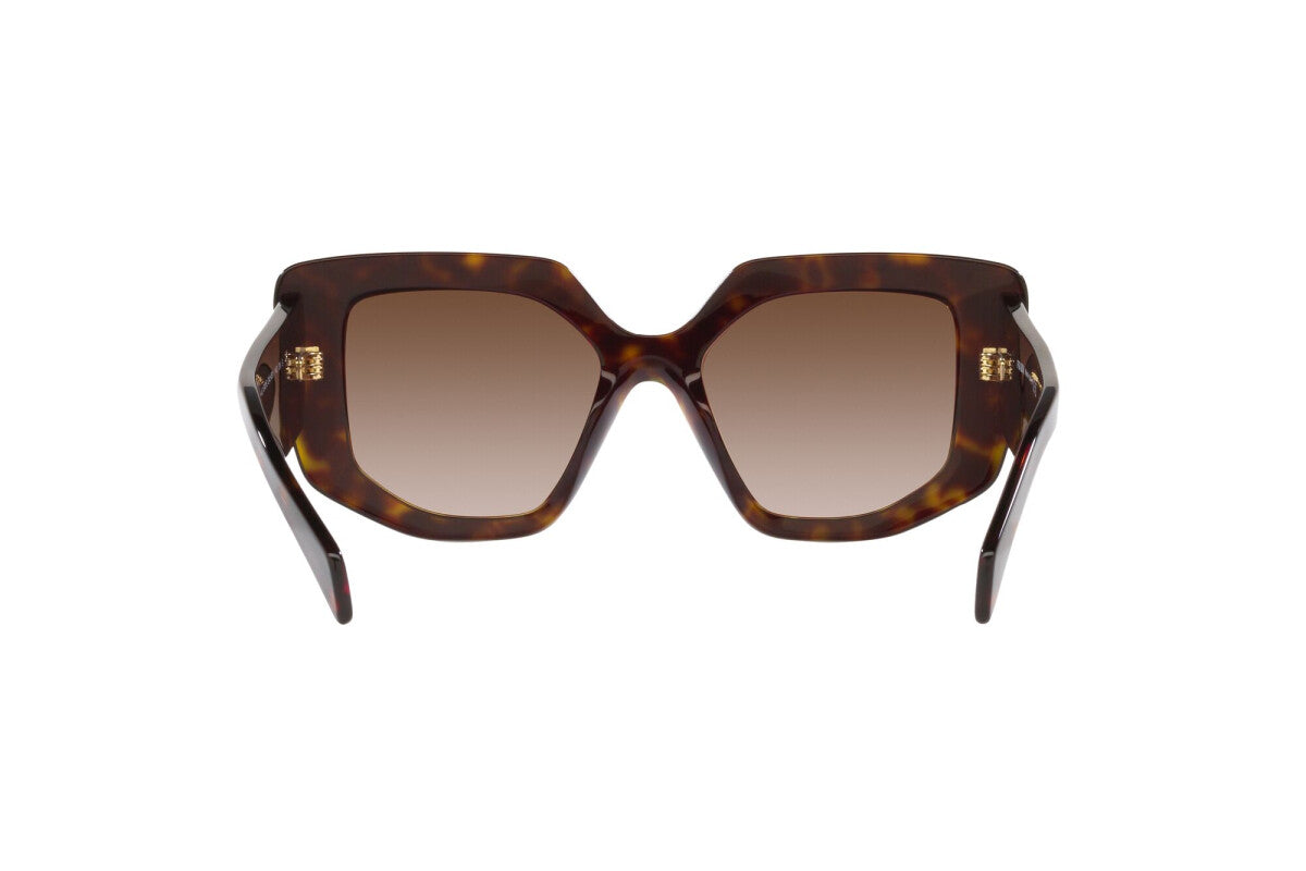 Prada PR 14ZS 2AU6S1 irregular sunglasses for women in full rim acetate, with havana frame, and brown gradient lenses. 50mm in lens size, 18mm in bridge size, and 140mm in temple length.