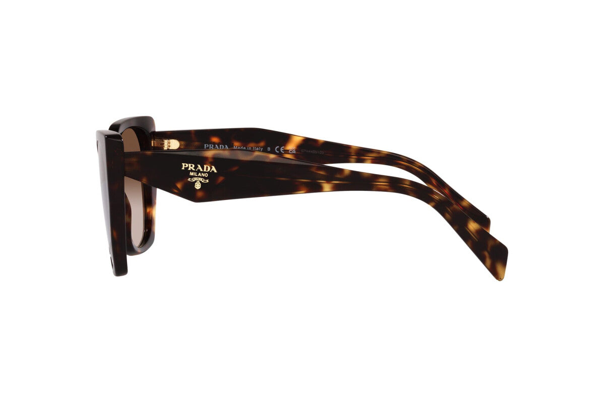 Prada PR 19ZS 2AU6S1 cat eye sunglasses for women in full rim acetate, with havana frame, and brown gradient lenses. 55mm in lens size, 17mm in bridge size, and 145mm in temple length.