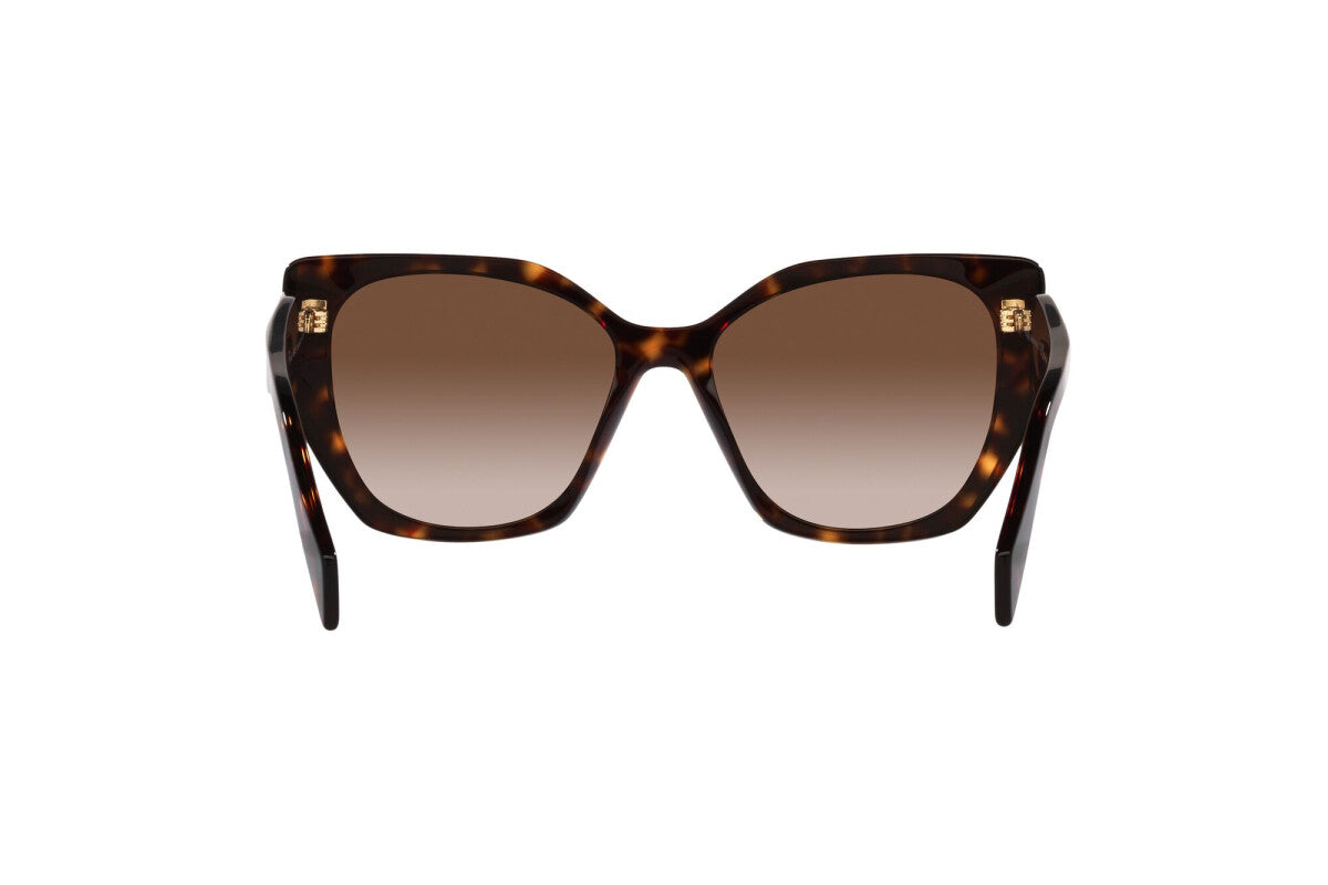 Prada PR 19ZS 2AU6S1 cat eye sunglasses for women in full rim acetate, with havana frame, and brown gradient lenses. 55mm in lens size, 17mm in bridge size, and 145mm in temple length.