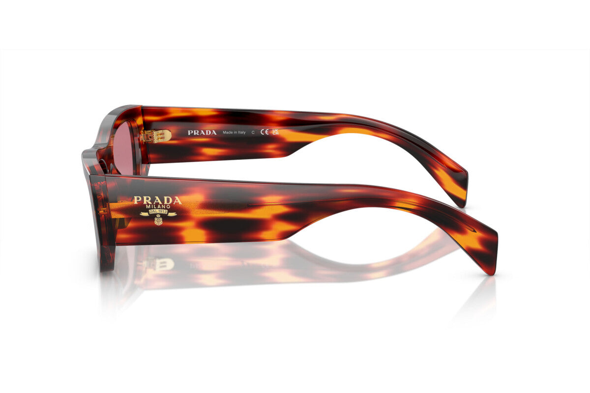 Prada PR A01S 13O80B rectangular sunglasses for women in full rim acetate, with havana red frame, and dark purple lenses. 53mm in lens size, 20mm in bridge size, and 145mm in temple length.