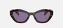 Prada PR A02S 17N50B cat eye sunglasses for women in full rim acetate, with havana frame, and violet lenses. 52mm in lens size, 19mm in bridge size, and 140mm in temple length.