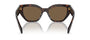 Prada PR A09S 16N5Y1 butterfly sunglasses for women in full rim acetate, with havana frame, and dark brown lenses. 53mm in lens size, 18mm in bridge size, and 145mm in temple length.