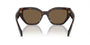 Prada PR A09S 16N5Y1 butterfly sunglasses for women in full rim acetate, with havana frame, and dark brown lenses. 53mm in lens size, 18mm in bridge size, and 145mm in temple length.