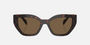 Prada PR A09S 16N5Y1 butterfly sunglasses for women in full rim acetate, with havana frame, and dark brown lenses. 53mm in lens size, 18mm in bridge size, and 145mm in temple length.