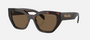 Prada PR A09S 16N5Y1 butterfly sunglasses for women in full rim acetate, with havana frame, and dark brown lenses. 53mm in lens size, 18mm in bridge size, and 145mm in temple length.