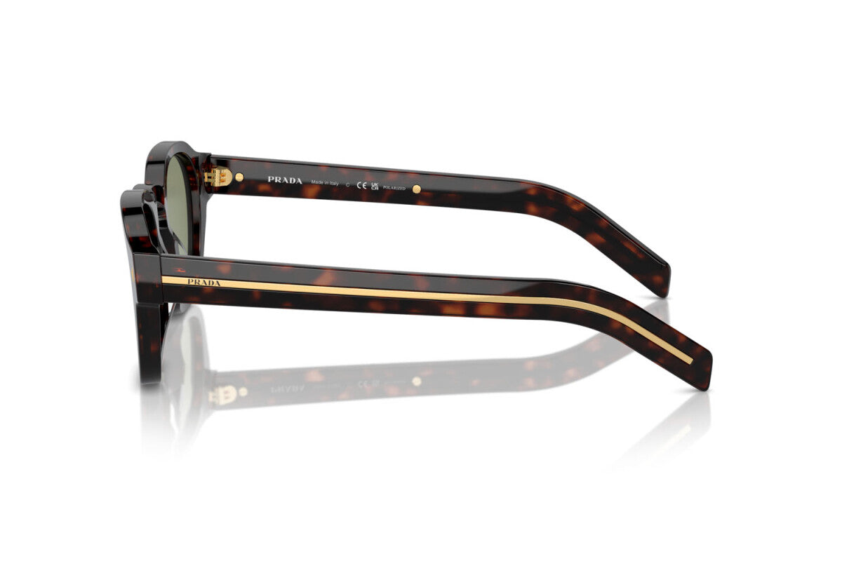 Prada PR A16S 17N20G round sunglasses for men in full rim acetate, with havana frame, and green lenses. 49mm in lens size, 24mm in bridge size, and 145mm in temple length.
