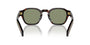 Prada PR A16S 17N20G round sunglasses for men in full rim acetate, with havana frame, and green lenses. 49mm in lens size, 24mm in bridge size, and 145mm in temple length.