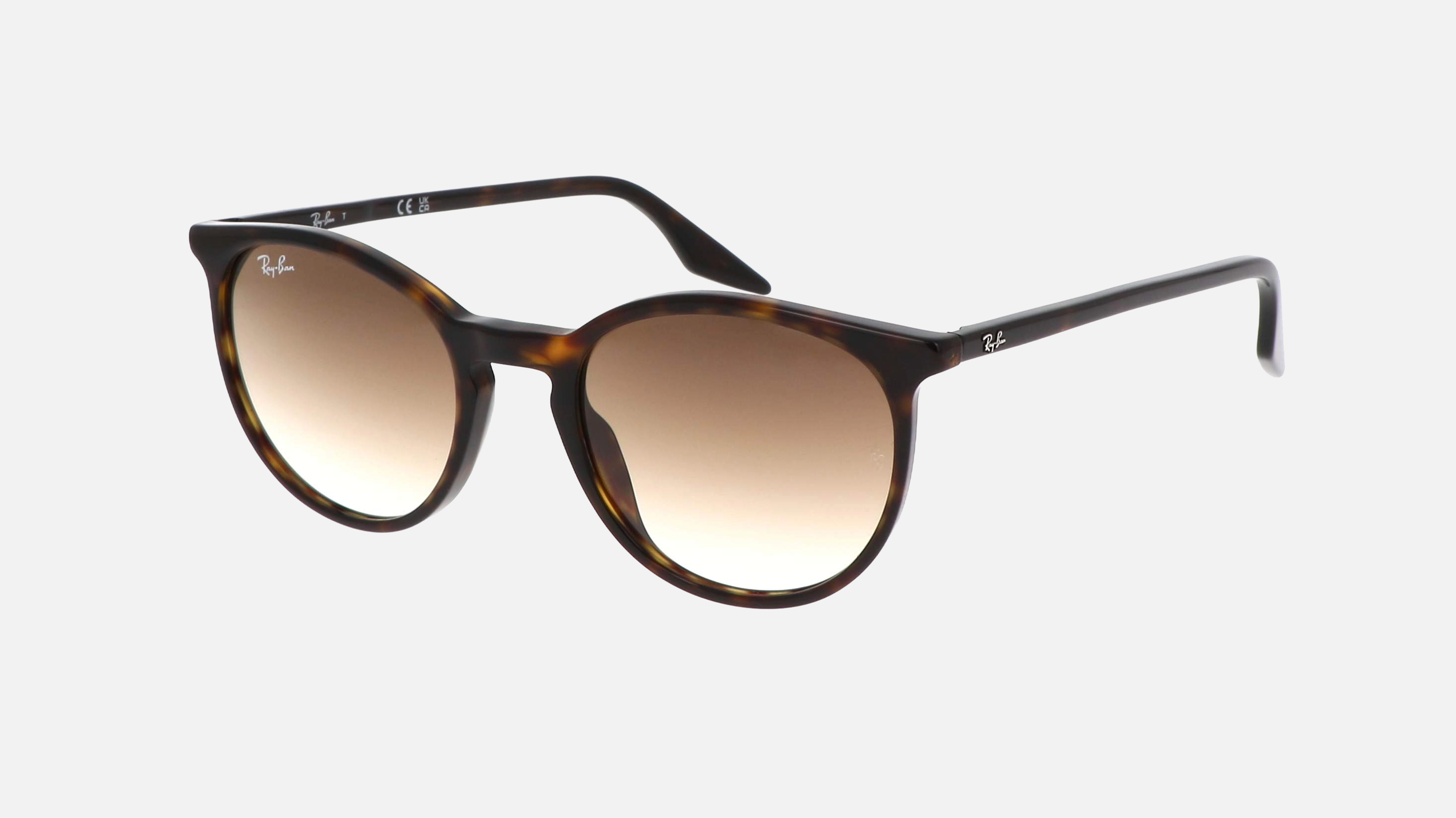 Ray-Ban RB2204