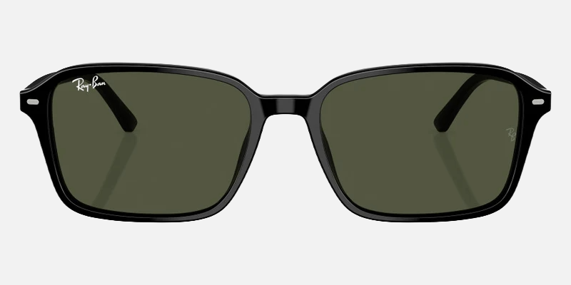 Ray-Ban Raimond RB2231