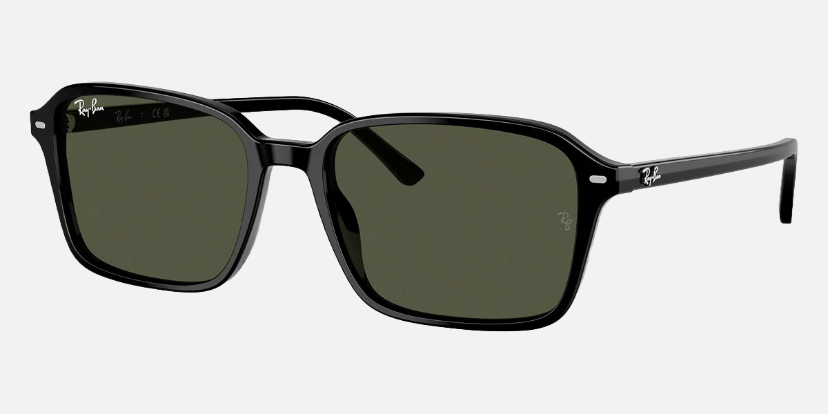 Ray-Ban Raimond RB2231