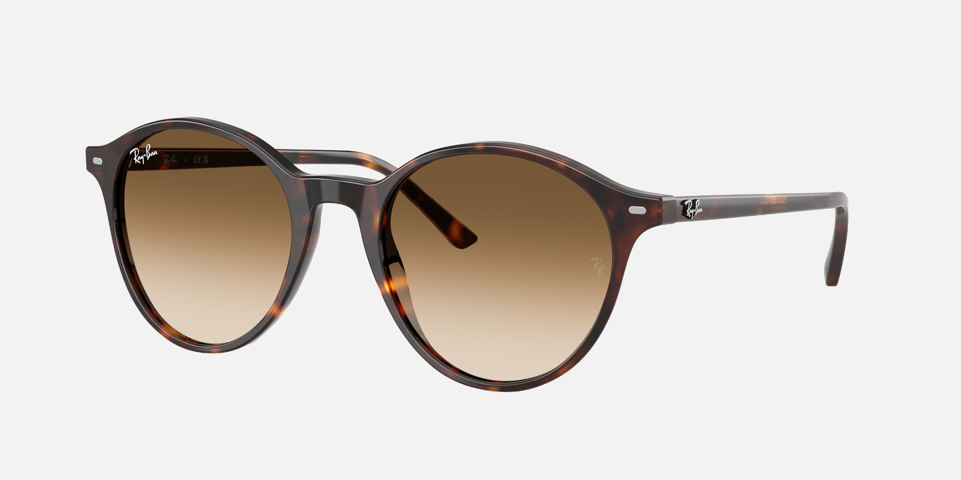 Ray-Ban Bernard RB2230