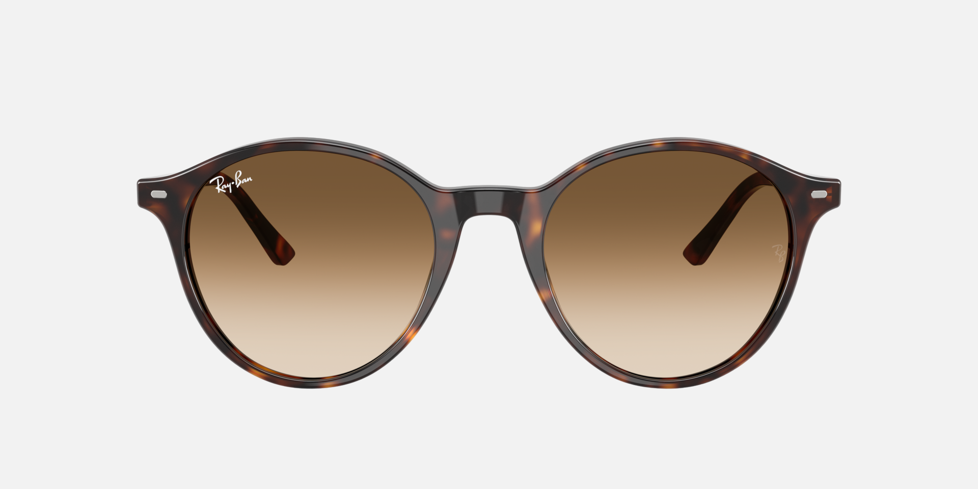 Ray-Ban Bernard RB2230