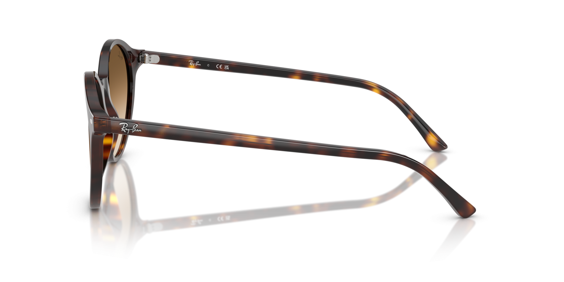 Ray-Ban Bernard RB2230