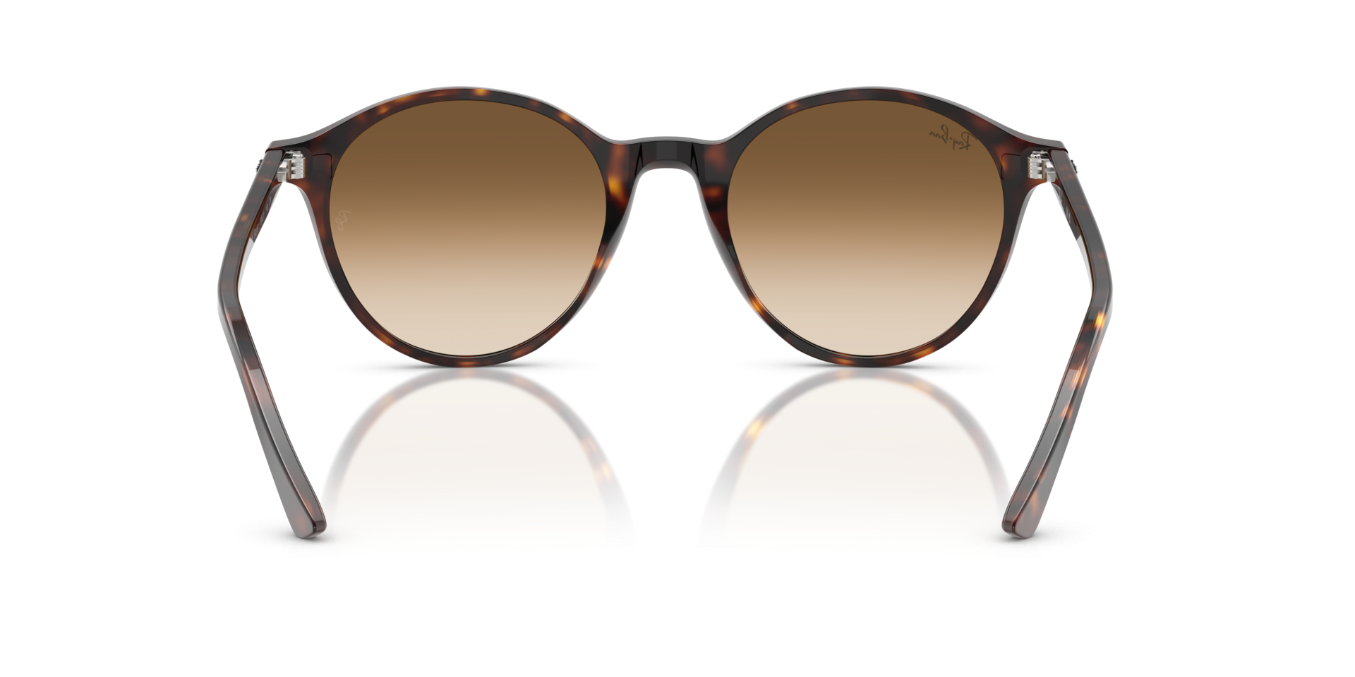 Ray-Ban Bernard RB2230