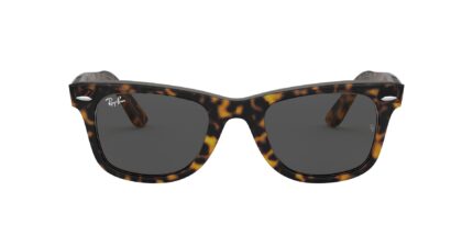 rb2140, polarized sunglasses, ray ban polarized, rayban dubai. rayban online, rayban havana sunglasses