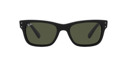 unisex sunglasses, sunglasses men, Ray Ban, RB2283, classic sunglasses, burbank rayban