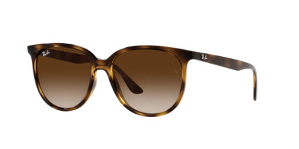 rb4378, ray ban, ray ban sunglasses, sunglass offer in dubai, specs online uae, ray ban sale dubai, rayban, best seller rayban,