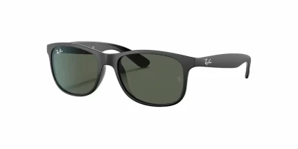 rb4202, ray ban, rayban sunglasses,
