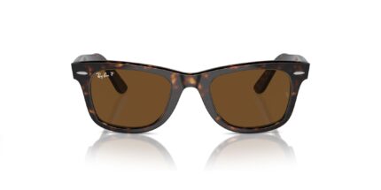 RB2140, rayban wayfarer, rayban polarized sunglasses, rayban dubai, rayban online, havana sunglasses