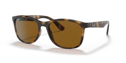 RB4374, rayban sunglasses dubai, vision optical, dubai opticals, rayban glasses uae, glasses online uae,